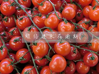 短信速来花逾期 短信速来花逾期