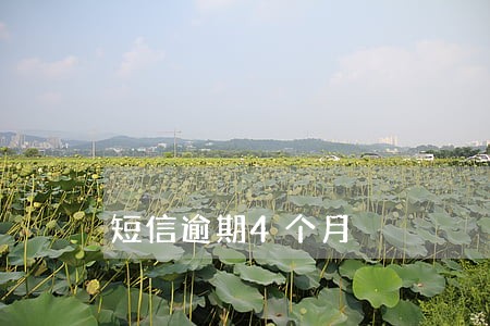 短信逾期4个月 短信逾期4个月