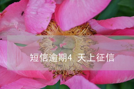 短信逾期4天上征信 短信逾期4天上征信