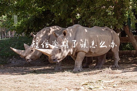 短信逾期了该怎么办 短信逾期了该怎么办