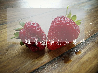 短信逾期会立案吗 短信逾期会立案吗