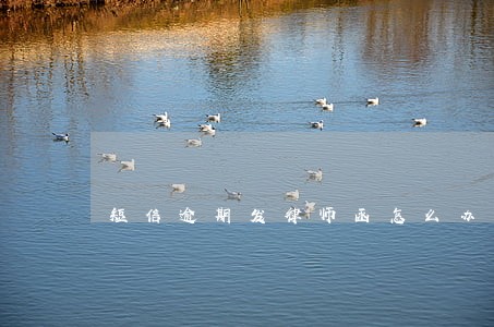 短信逾期发律师函怎么办 短信逾期发律师函怎么办