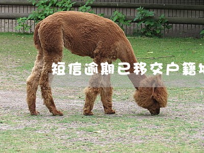 短信逾期已移交户籍地