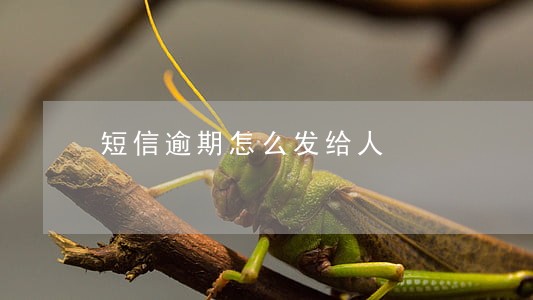 短信逾期怎么发给人 短信逾期怎么发给人