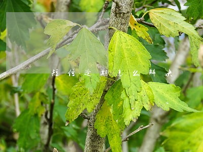 短信逾期怎么解决 短信逾期怎么解决