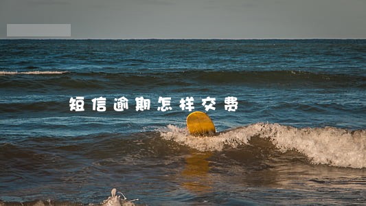 短信逾期怎样交费 短信逾期怎样交费