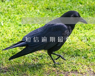 短信逾期最低还款额