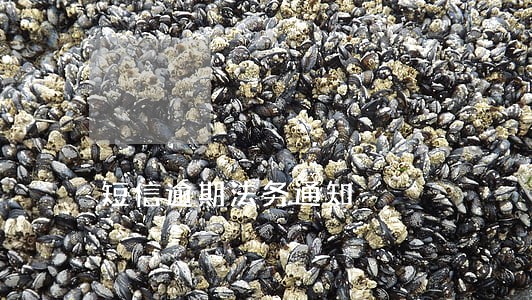 短信逾期法务通知 短信逾期法务通知