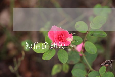 短信逾期短 短信逾期短