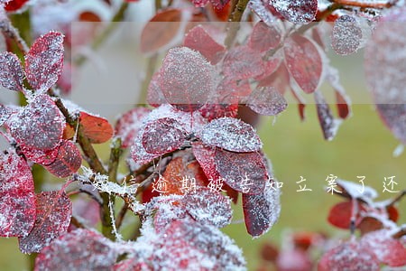 短信逾期被告知立案了还会通缉吗 短信逾期被告知立案了还会通缉吗