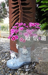 短信逾期说会黑名单 短信逾期说会黑名单
