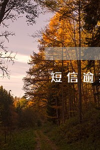短信逾期走访是真的吗 短信逾期走访是真的吗