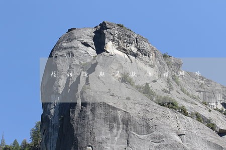 短信逾期还款办理解除