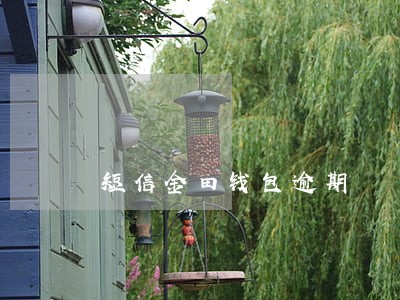 短信金田钱包逾期 短信金田钱包逾期
