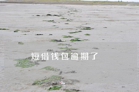 短借钱包逾期了 短借钱包逾期了