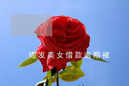 短发美女借款逾期被 短发美女借款逾期被