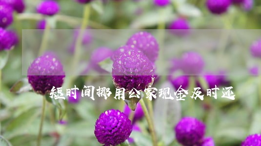 短时间挪用公家现金及时还 短时间挪用公家现金及时还