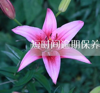 短时间逾期保养会不会脱保 短时间逾期保养会不会脱保