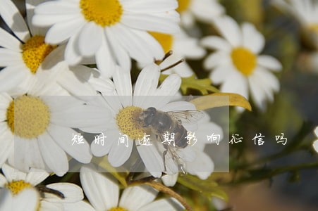 短时间逾期影响征信吗 短时间逾期影响征信吗