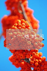 短时间逾期记录怎么消除 短时间逾期记录怎么消除