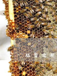 短暂逾期会影响工作吗 短暂逾期会影响工作吗