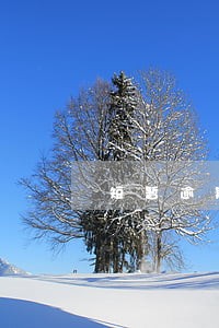 短暂逾期行为什么时候能恢复 短暂逾期行为什么时候能恢复