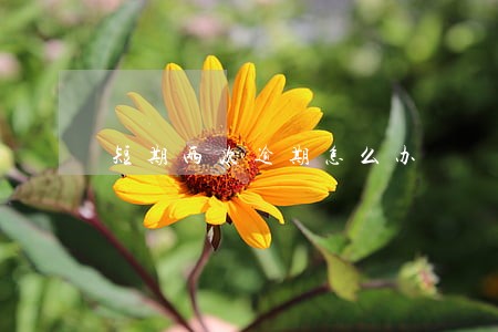 短期两次逾期怎么办 短期两次逾期怎么办