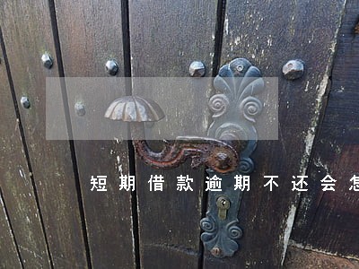 短期借款逾期不还会怎样 短期借款逾期不还会怎样