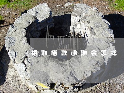 短期借款逾期会怎样 短期借款逾期会怎样
