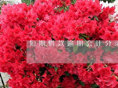 短期借款逾期会计分录 短期借款逾期会计分录
