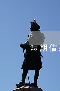 短期借款逾期商业承兑汇票 短期借款逾期商业承兑汇票