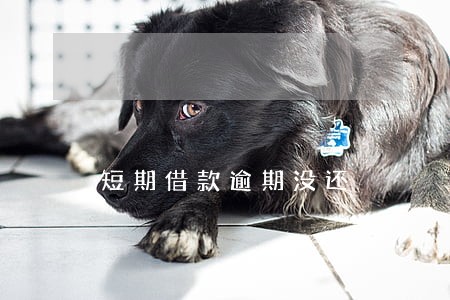 短期借款逾期没还 短期借款逾期没还
