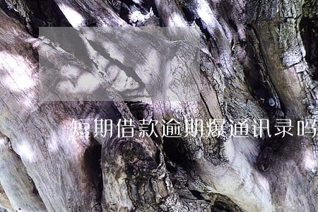 短期借款逾期爆通讯录吗 短期借款逾期爆通讯录吗