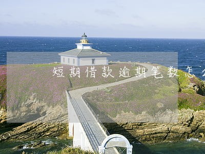 短期借款逾期笔数怎么算 短期借款逾期笔数怎么算