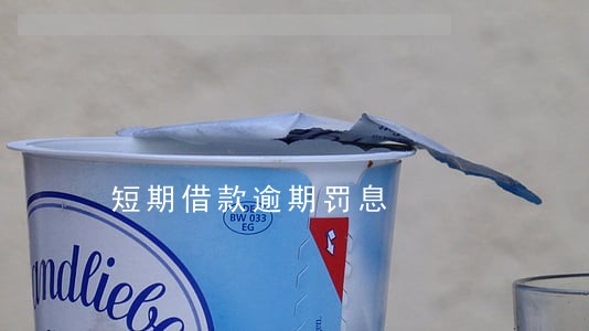 短期借款逾期罚息 短期借款逾期罚息