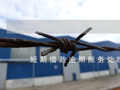 短期借款逾期账务处理 短期借款逾期账务处理