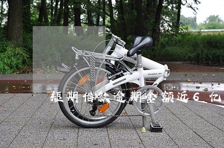 短期借款逾期金额近6亿 短期借款逾期金额近6亿
