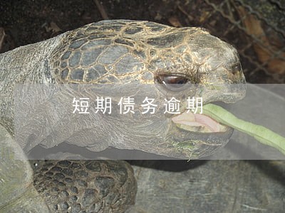 短期债务逾期 短期债务逾期