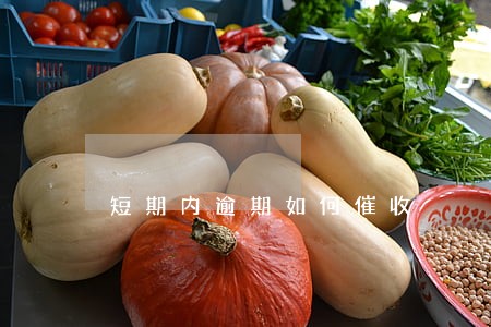短期内逾期如何催收 短期内逾期如何催收