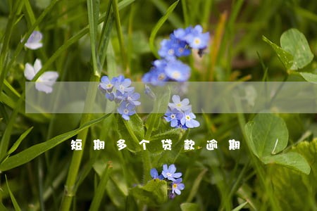 短期多个贷款逾期 短期多个贷款逾期