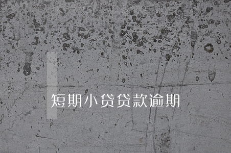 短期小贷贷款逾期 短期小贷贷款逾期