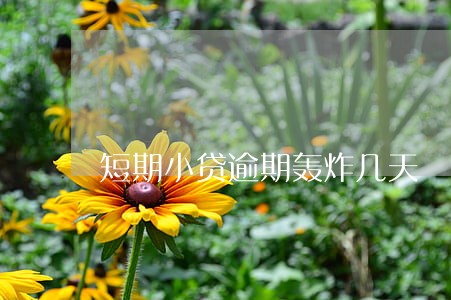 短期小贷逾期轰炸几天