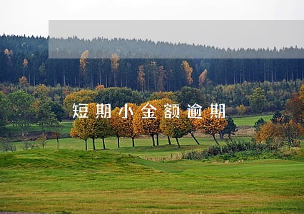 短期小金额逾期