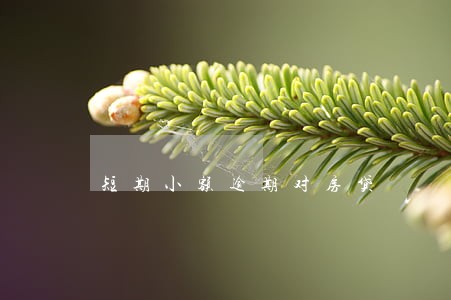 短期小额逾期对房贷 短期小额逾期对房贷