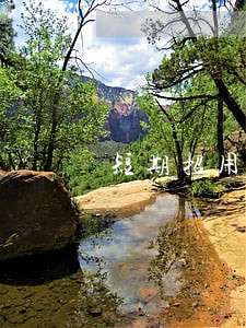 短期招用未成年人也属违法 短期招用未成年人也属违法