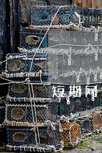 短期网贷续期几次逾期还不起 短期网贷续期几次逾期还不起