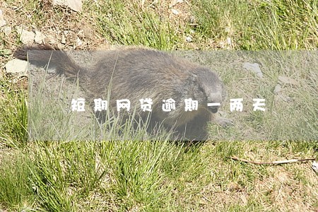 短期网贷逾期一两天 短期网贷逾期一两天