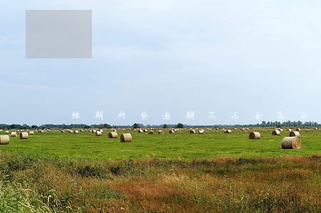 短期网贷逾期不还会怎么样 短期网贷逾期不还会怎么样