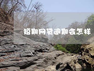 短期网贷逾期会怎样 短期网贷逾期会怎样