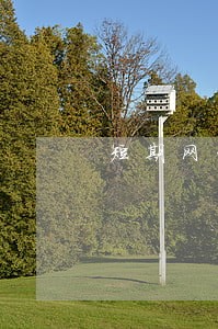 短期网贷逾期可以坐高铁吗 短期网贷逾期可以坐高铁吗